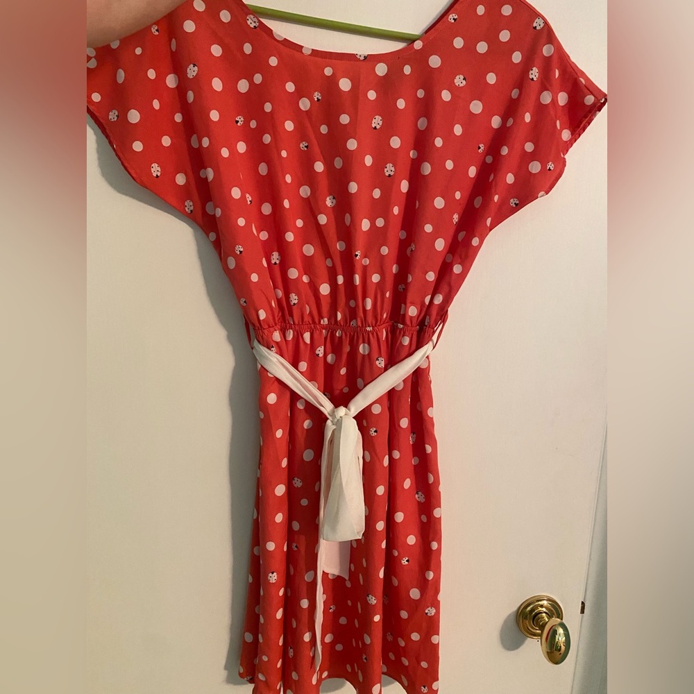Red-Orange Dress with White Polka Dots and Lady Bugs